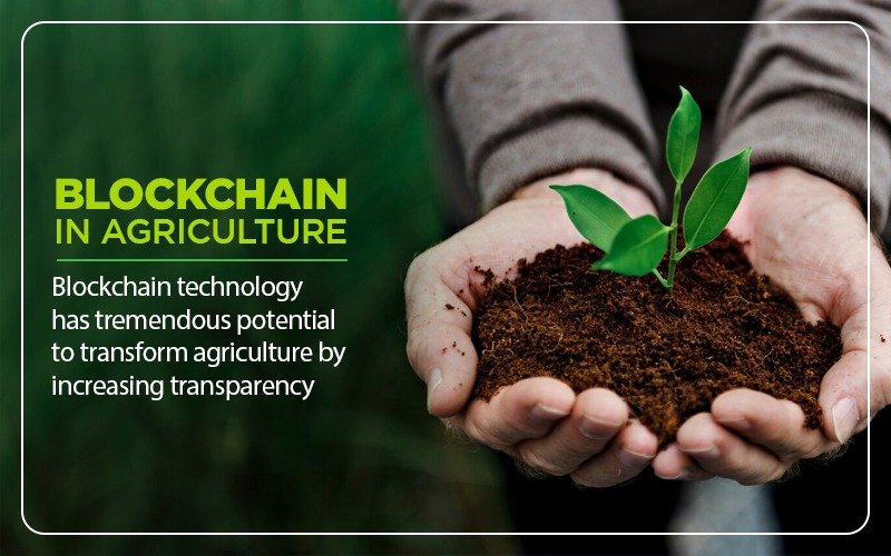 Blockchain in Agriculture