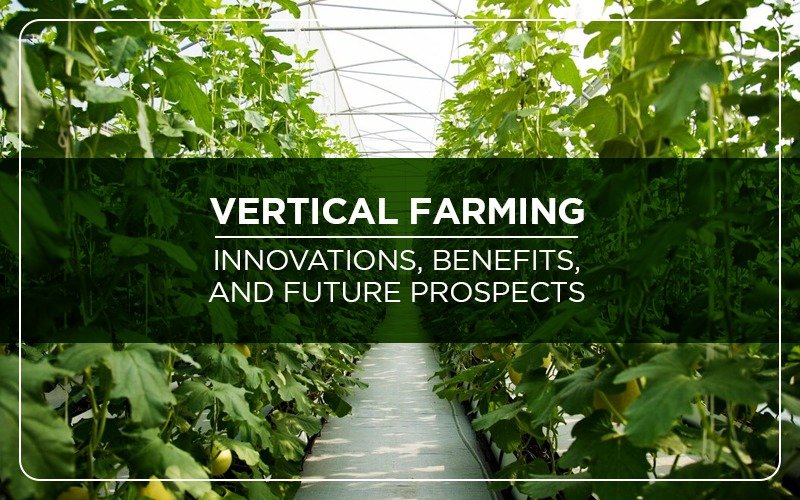 Vertical Farming