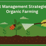 Pest Management Strategies in Organic Farming