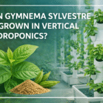 Can Gymnema Sylvestre Be Grown in Vertical Hydroponics
