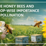 The Honey Bees and Crop-Wise Importance in Pollination