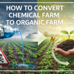 How to convert chemical farm to organic farm