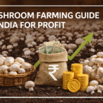 Mushroom Farming Guide in India for Profit