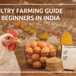 Poultry Farming Guide for Beginners in India