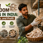 Oyster Mushroom Farming in India Cost, Process, and Profit