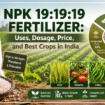 NPK 19:19:19 Fertilizer: Uses, Dosage, Price, and Best Crops in India