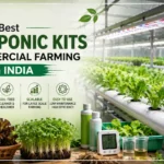 Best Hydroponic Kits for Commercial Farming in India