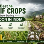 Best Kharif Crops to Grow During Monsoon in India