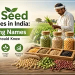 Best Seed Companies in India